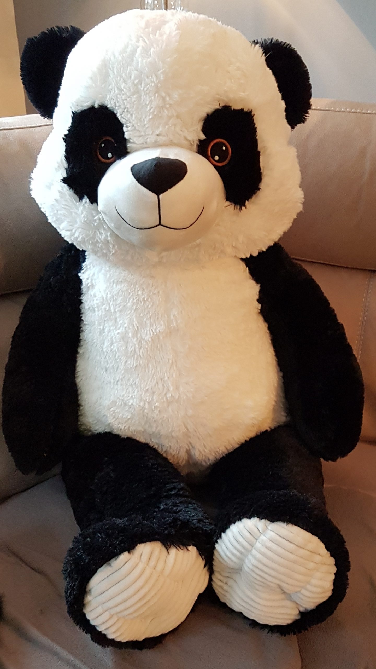 Win ‘Perky’ the panda on Blue Panda Radio